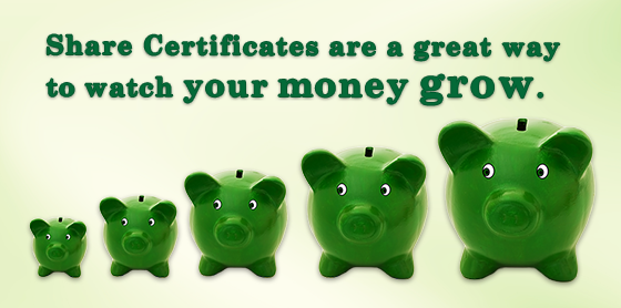 Share Certificate