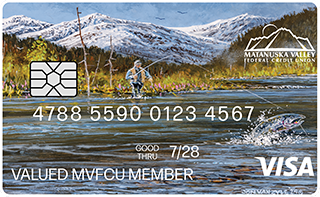 visa card image
