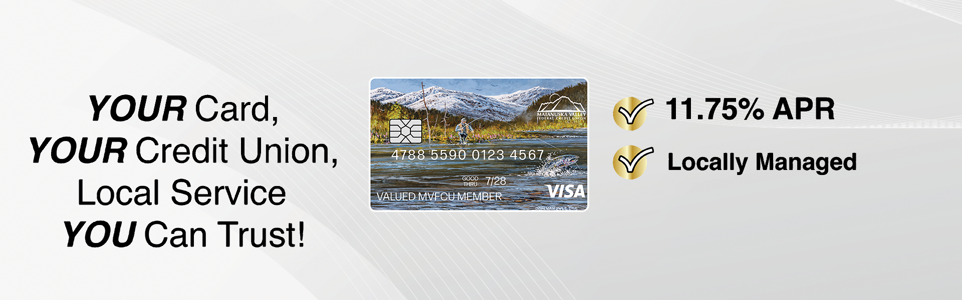 Visa 2025 banner