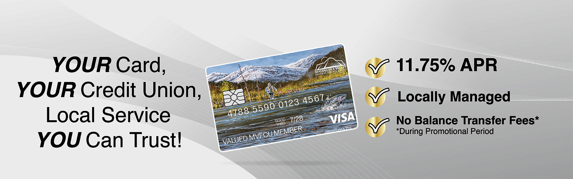 Visa 2025 banner